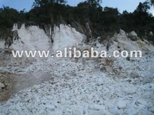 Calcium Carbonated Powder